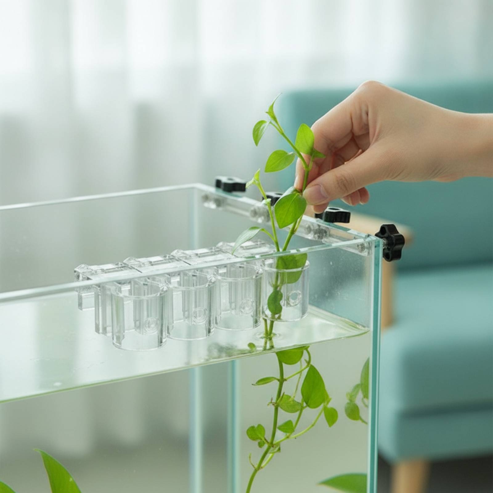 Aquarium Plant Original - 6개 수족관 플랜터 투명 수경 재배