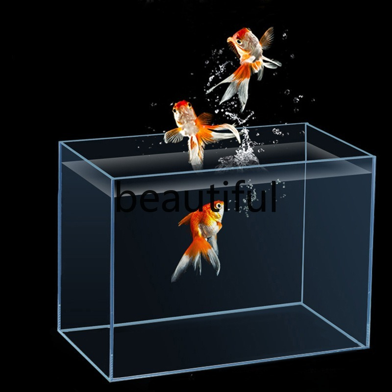 Planted Aquarium For Goldfish - 진징 초백유리 어항 수생식물 금붕어 거북이