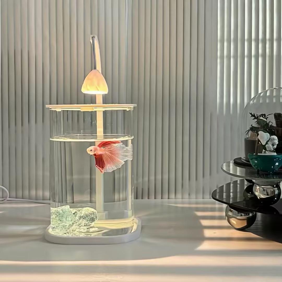 Planted Aquarium For Goldfish - 360 ° 파노라마 투명 데스크탑 어항