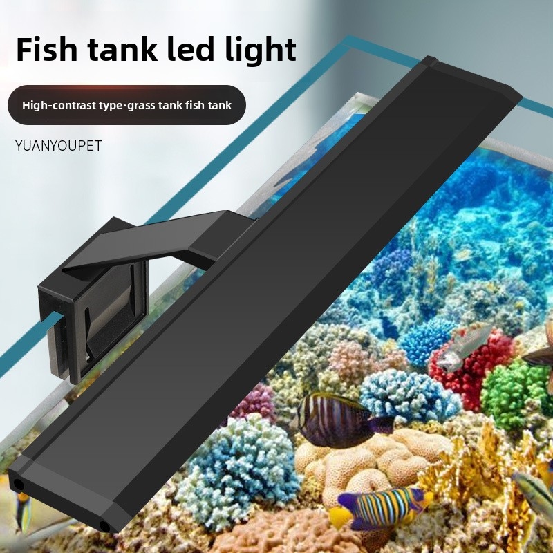 Aquarium Planting Ideas - 전문가용 LED 수족관 조명 - 수초