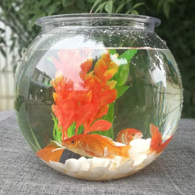 Planted Aquarium For Goldfish - 금붕어 어항 탁상용 투명 플라스틱 수조