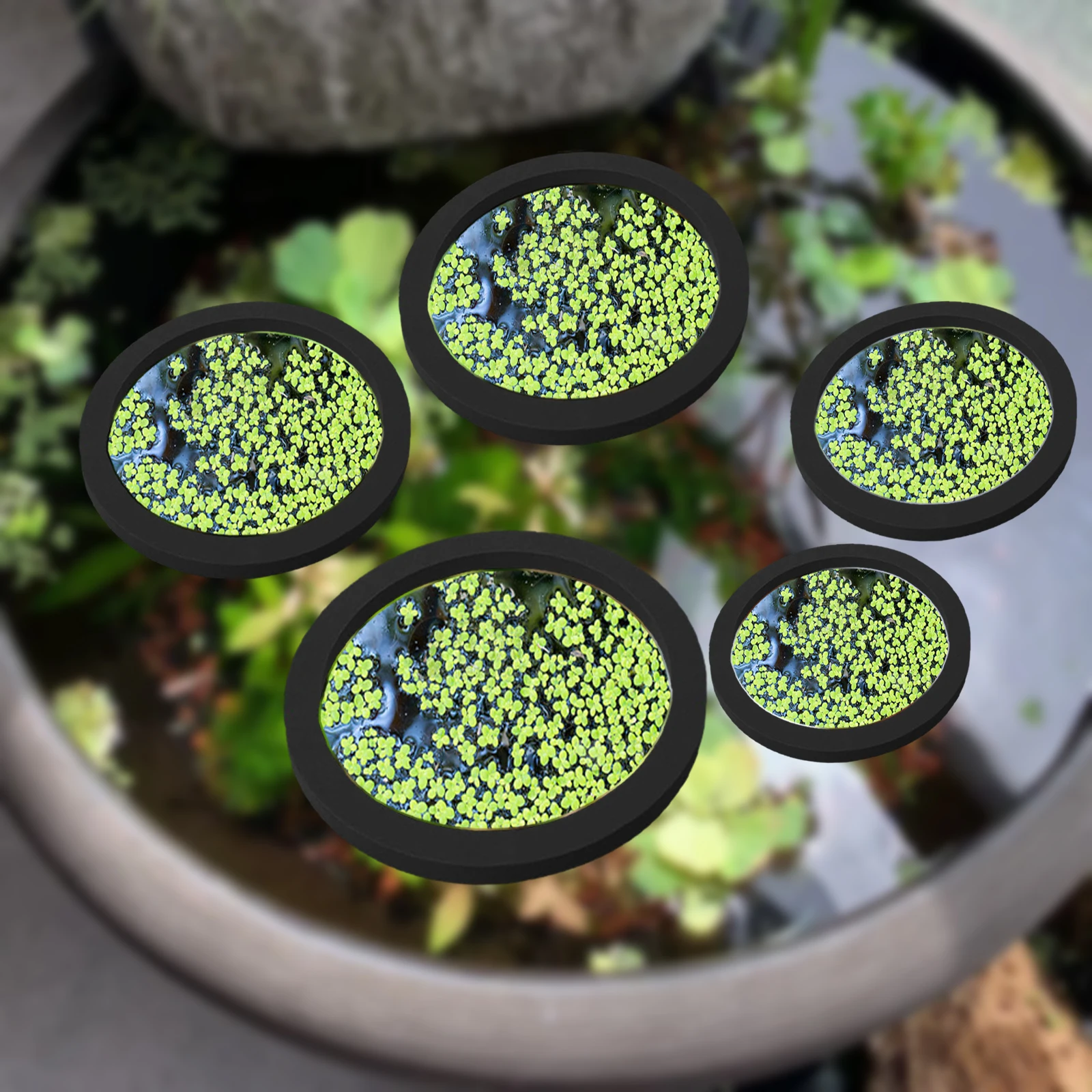 Aquarium Plant Original - EVA 물고기 먹이 고리 수족관 플로팅