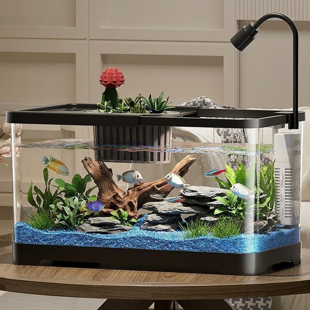 Planted Aquarium Starter Kit - 데스크탑 수족관 초보자용 세트, USB 필터,