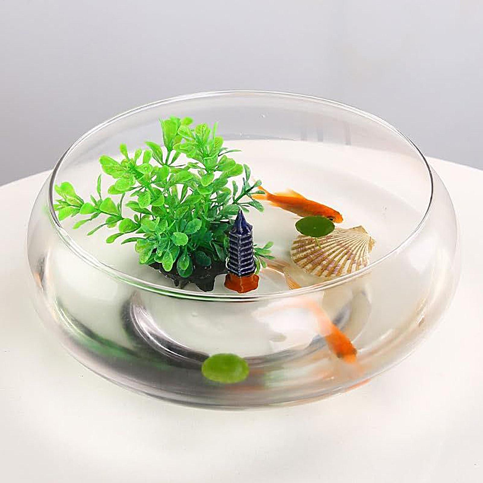 Planted Aquarium For Goldfish - 물고기 유리 그릇 유리 대형 수경