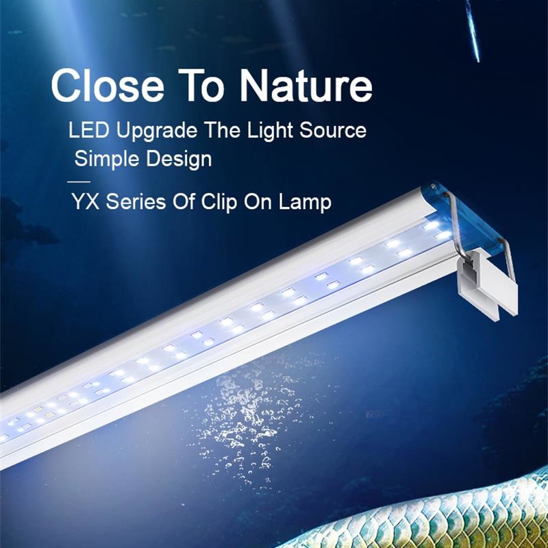 Aquarium Planting Ideas - 물고기 탱크 슈퍼 슬림 LED 수족관