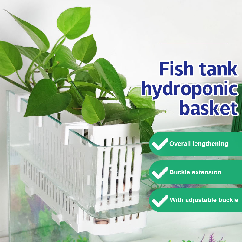 Aquarium Planting Ideas - 【F】어항용 걸이형 수초 홀더 내열성 수경재배