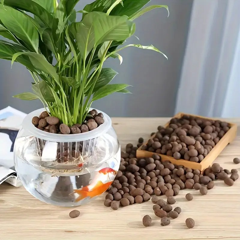 수족관 장식, 수생 식물 재배, 다육 식물 및 분재용  - Aquarium Plant Original 리뷰 및 가격