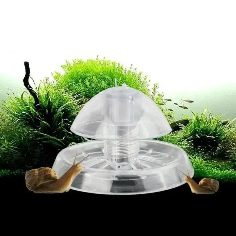2026년형 새로운 6/8CM 투명 플라스틱 달팽이 트 - Aquarium Planting Ideas 리뷰 및 가격