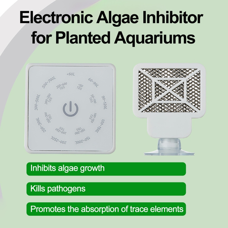 100-240V 50/60Hz 전자식 수족관 어항 청소 - Planted Aquarium Algae Remover 리뷰 및 가격