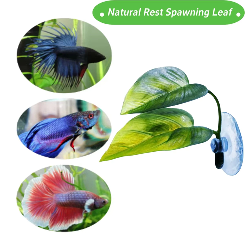 수족관 애완동물 용품 장식 인조 수생 식물 어항 조경  - Planted Aquarium Supplies 리뷰 및 가격