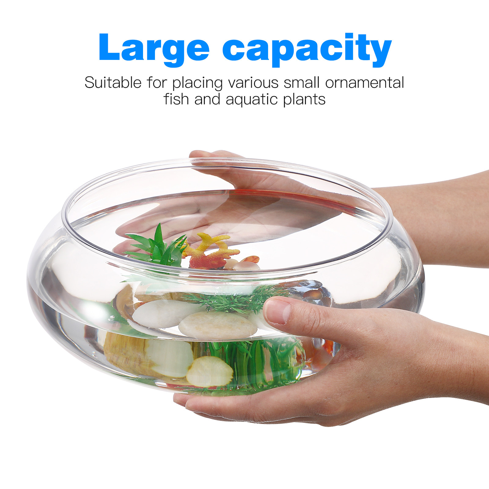 2800ml 용량의 투명한 데스크탑 어항, 플라스틱 재 - Planted Aquarium For Goldfish 리뷰 및 가격