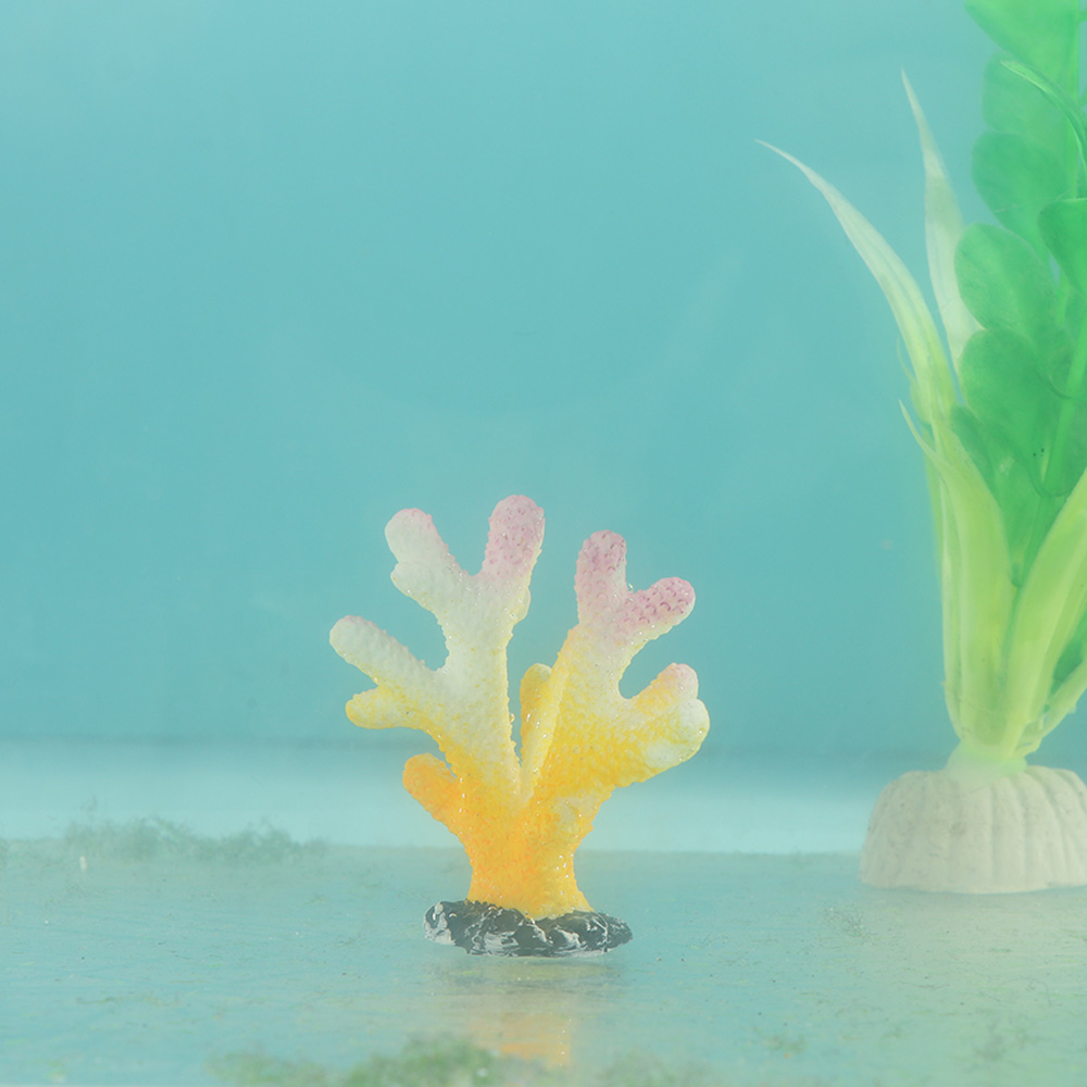 인공 산호 어항 장식, 시뮬레이션 불가사리 수지 암초  - Aquarium Planting Ideas 리뷰 및 가격