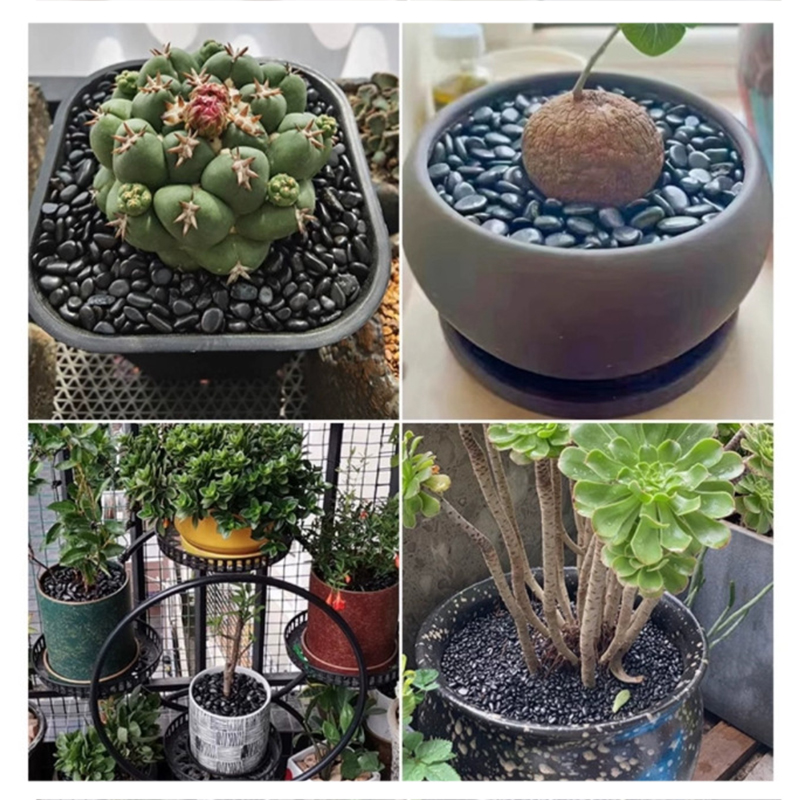 흰색&검정색 광택 강돌 200g-400g, 어항 수족관 - Aquarium Planting Ideas 리뷰 및 가격