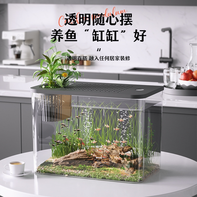 뚜껑이 있는 플라스틱 어항, 투명 미니 데스크탑 어항  - Planted Aquarium For Goldfish 리뷰 및 가격