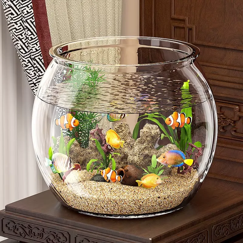 고품질 컴팩트 투명 플라스틱 테이블탑 수족관 (거실용  - Planted Aquarium For Goldfish 리뷰 및 가격