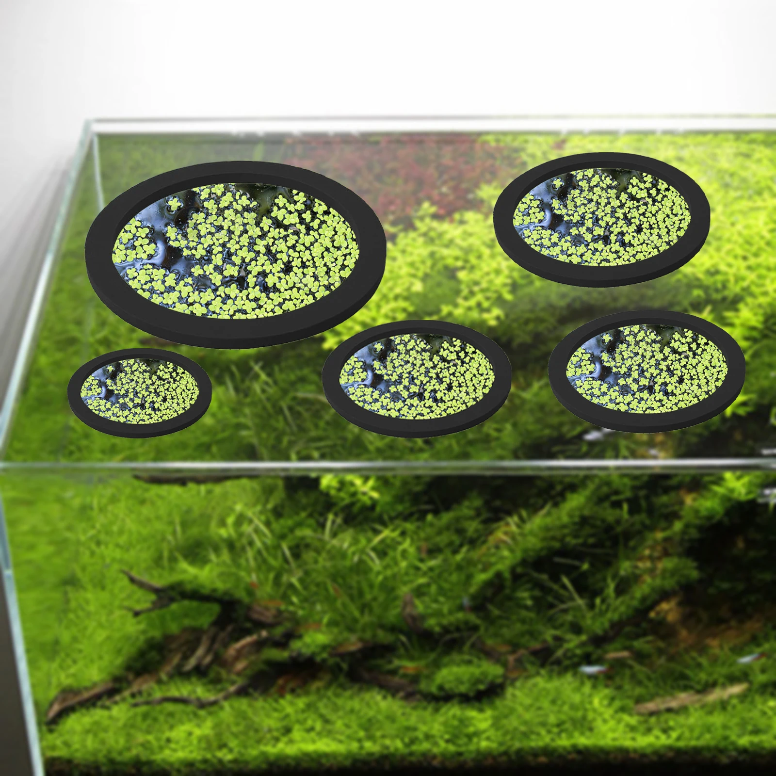 EVA 물고기 먹이 고리 수족관 플로팅 식물, 코랄 어 - Aquarium Plant Original 리뷰 및 가격