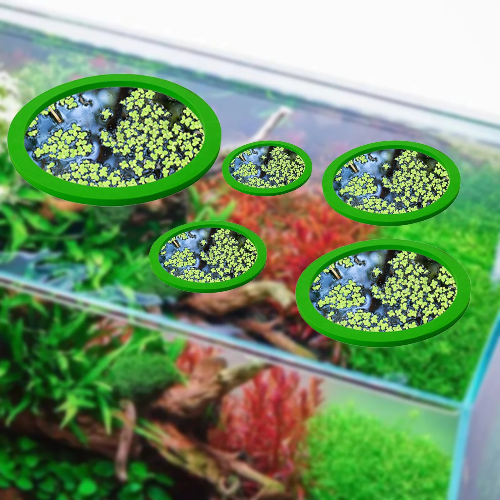 EVA 물고기 먹이 고리 수족관 플로팅 식물, 코랄 어 - Aquarium Plant Original 리뷰 및 가격