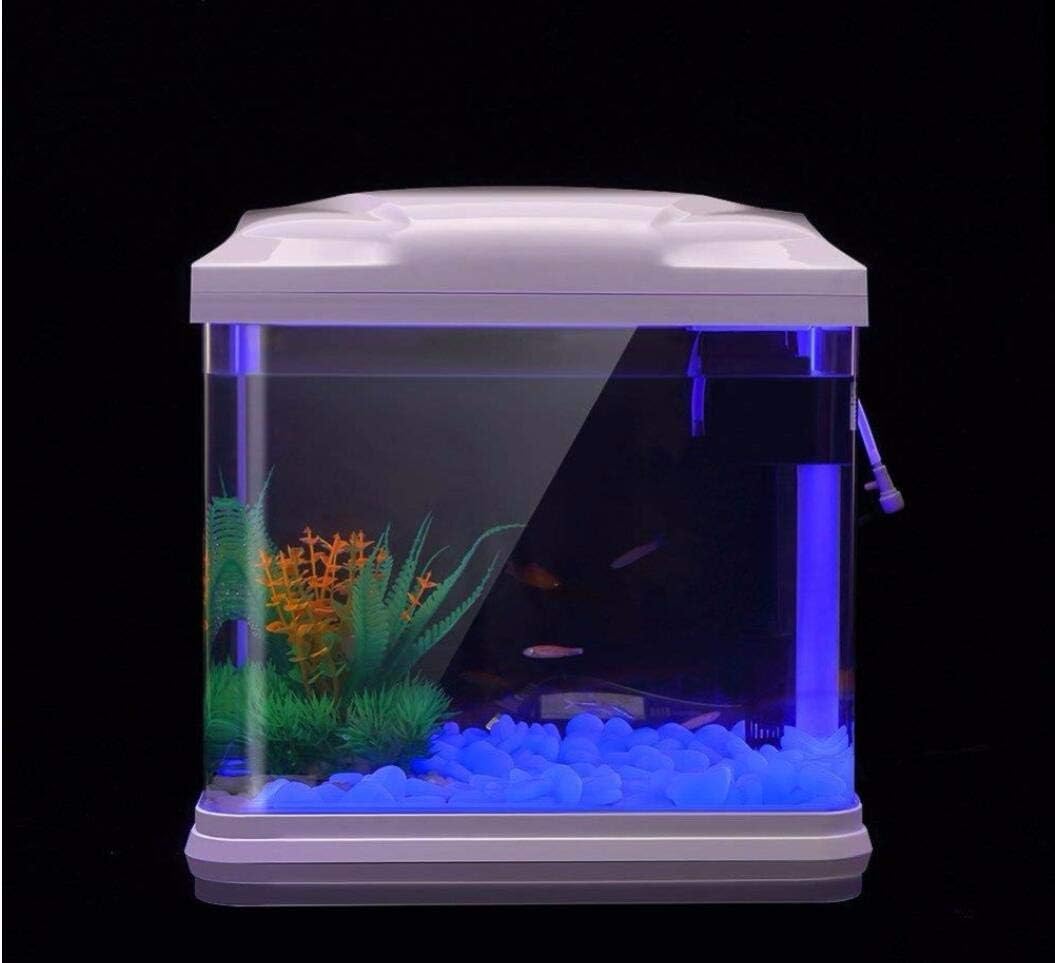 물고기 탱크 바위 정원 물고기 탱크 수족관 식물 냄비  - Aquarium Plant Original 리뷰 및 가격