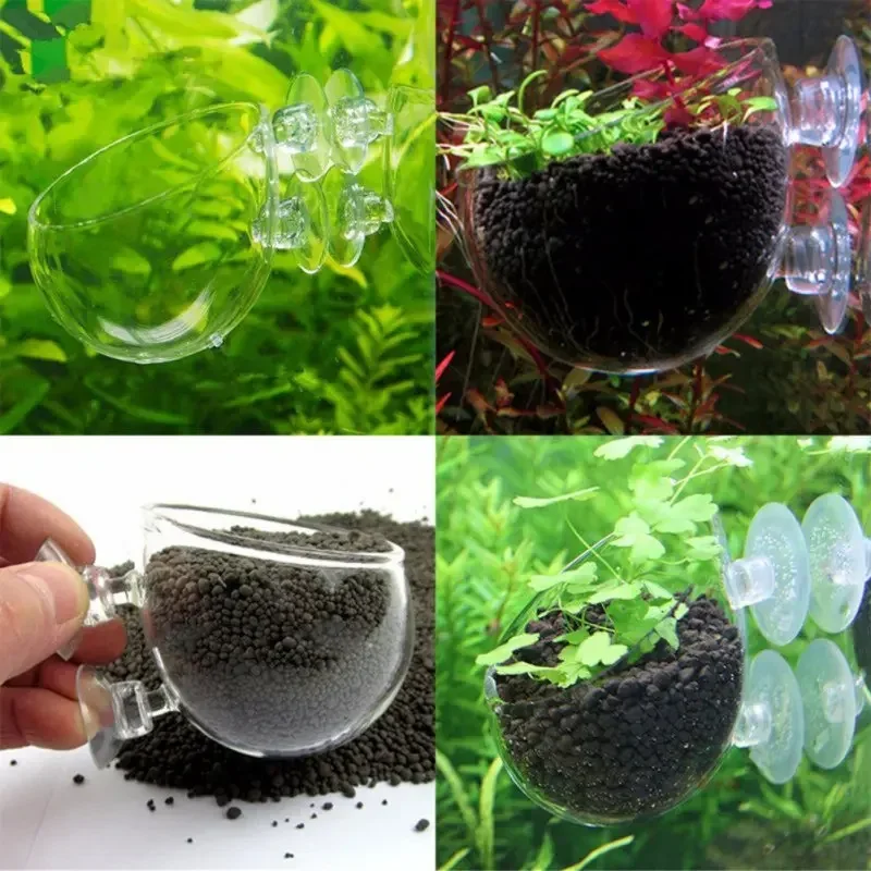 투명한 수생 식물 컵, 흡착식 받침대 포함, 유리 재질 - Aquarium Plant Red 리뷰 및 가격