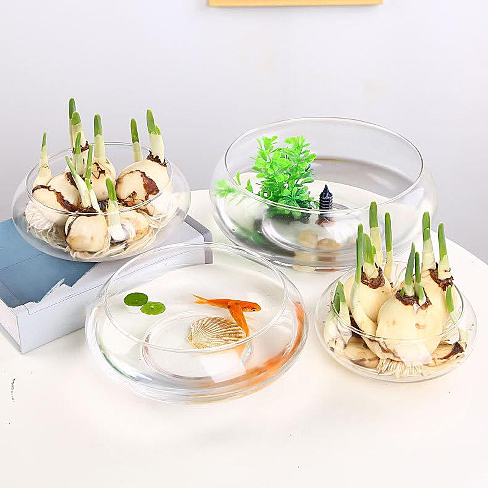 물고기 유리 그릇 유리 대형 수경 재배 화분 얕은 원형 - Planted Aquarium For Goldfish 리뷰 및 가격