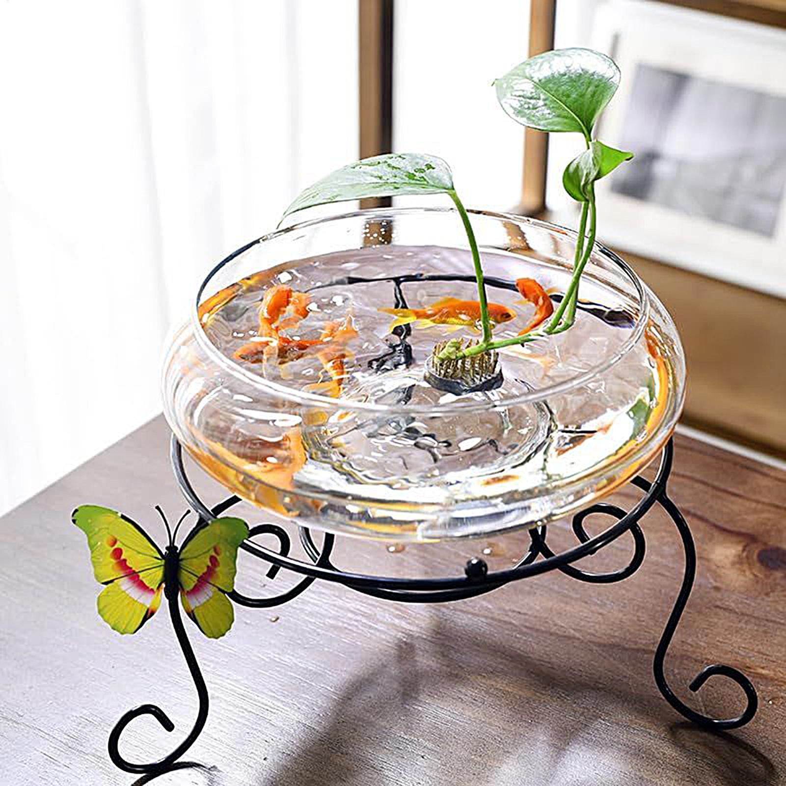 물고기 유리 그릇 유리 대형 수경 재배 화분 얕은 원형 - Planted Aquarium For Goldfish 리뷰 및 가격