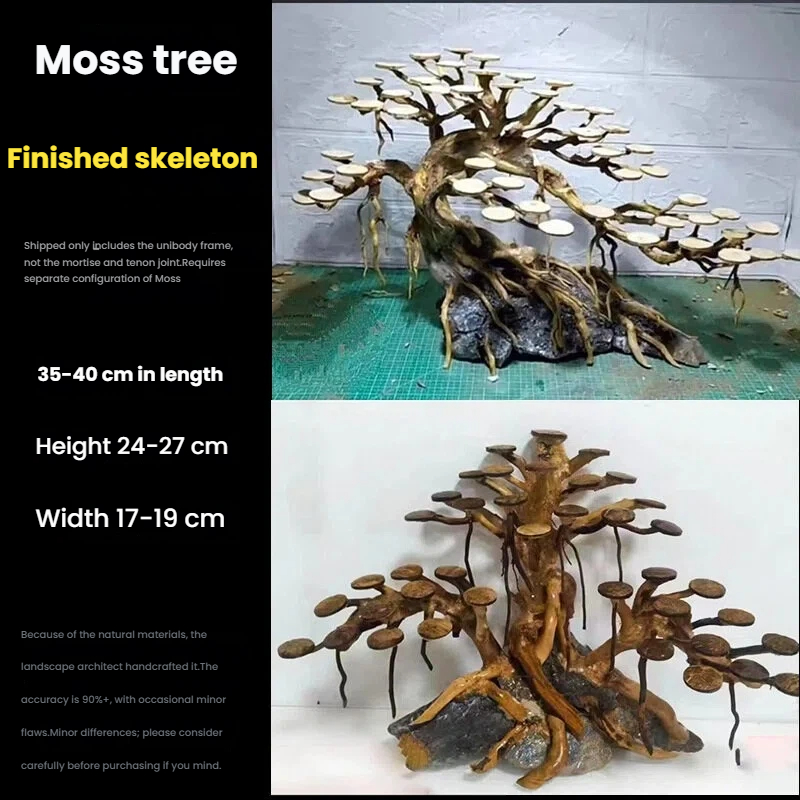 수족관 조경용 이끼나무 뼈대 마감된 유목 삼나무 뿌리  - Aquarium Planting Ideas 리뷰 및 가격