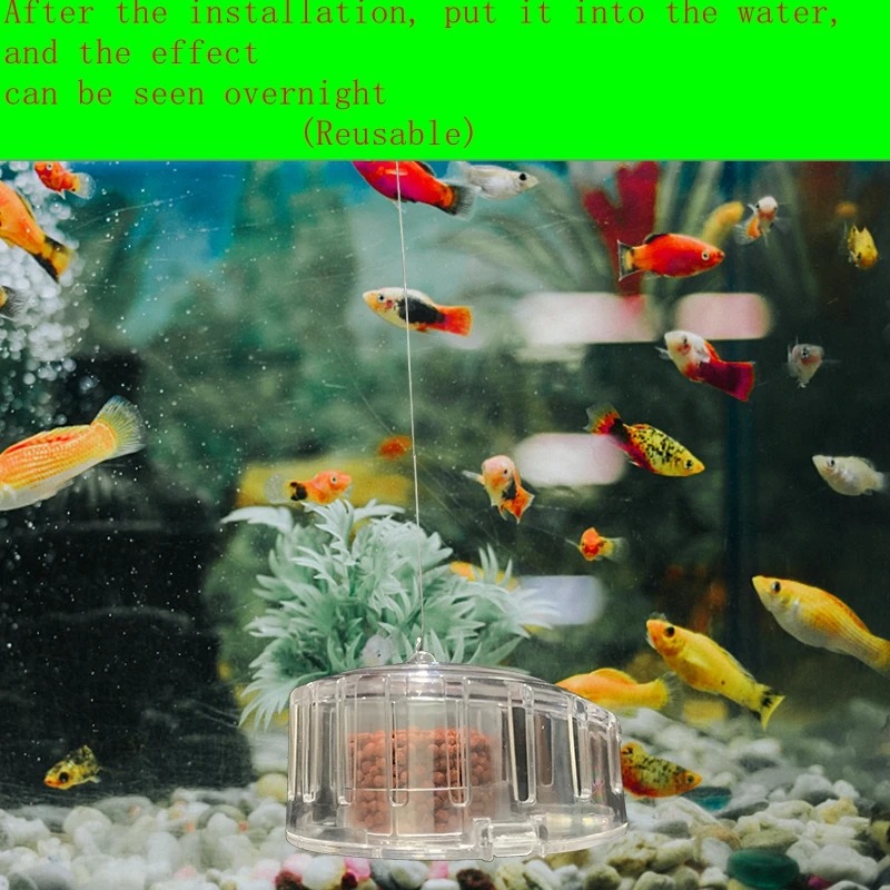 수족관 식물 달팽이 트랩 캐처, 플라스틱 거머리 플라나 - Aquarium Planting Ideas 리뷰 및 가격