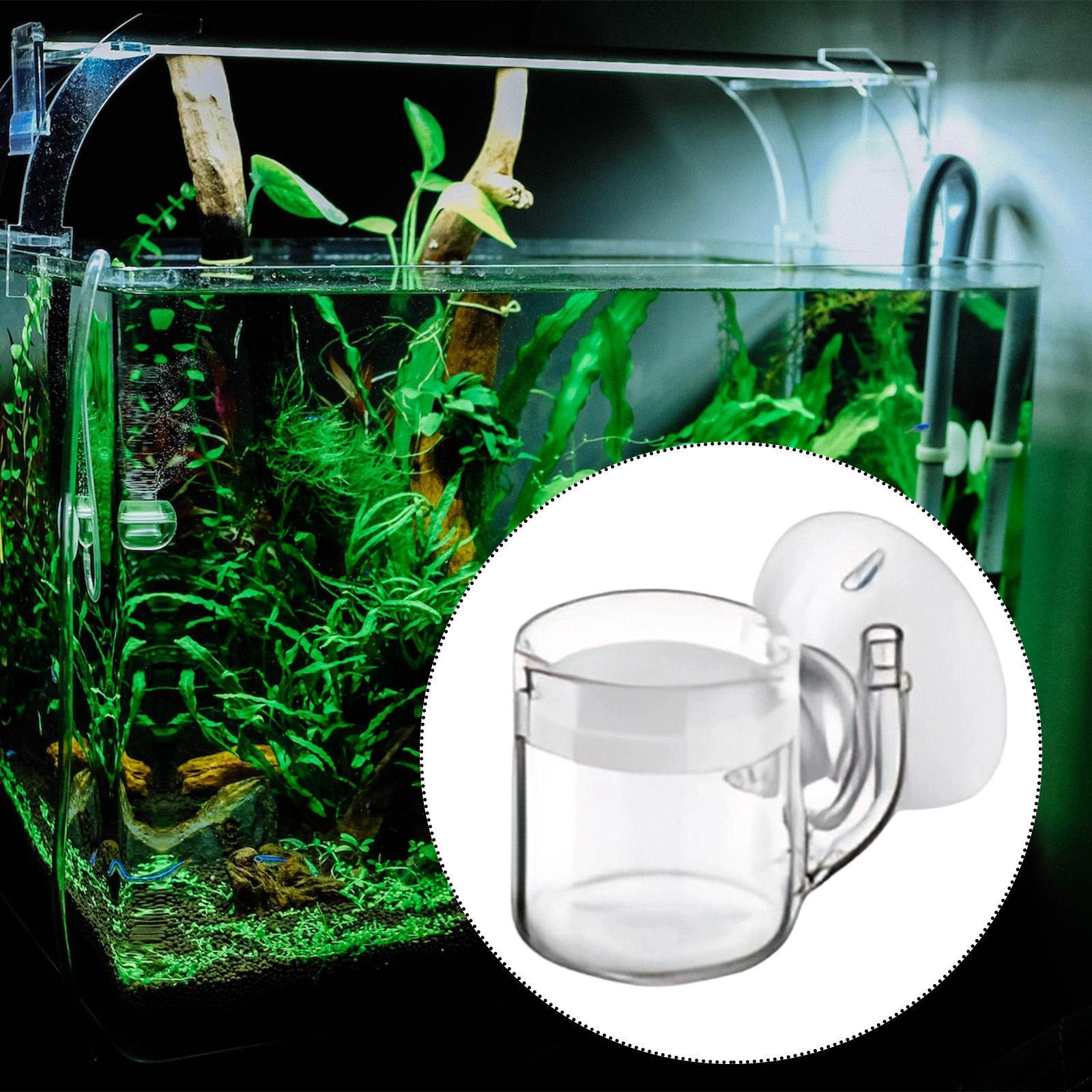 CO2 디퓨저 평평한 바닥 조용하고 청소가 쉬운 수족관 - Planted Aquarium Cleaning 리뷰 및 가격