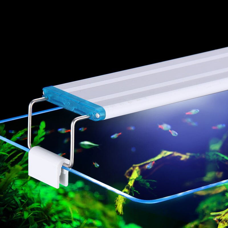물고기 탱크 슈퍼 슬림 LED 수족관 조명 수생 식물  - Aquarium Planting Ideas 리뷰 및 가격