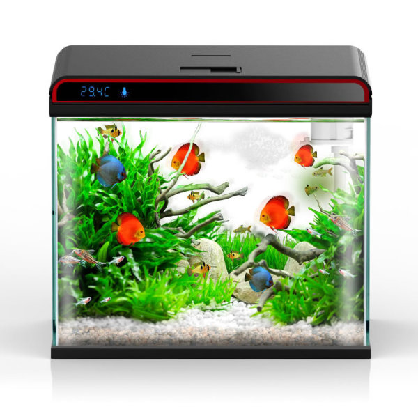 썬썬 4-in-1 수족관 물질 조절기 - 세척/조류 제 - Planted Aquarium Algae Remover 리뷰 및 가격