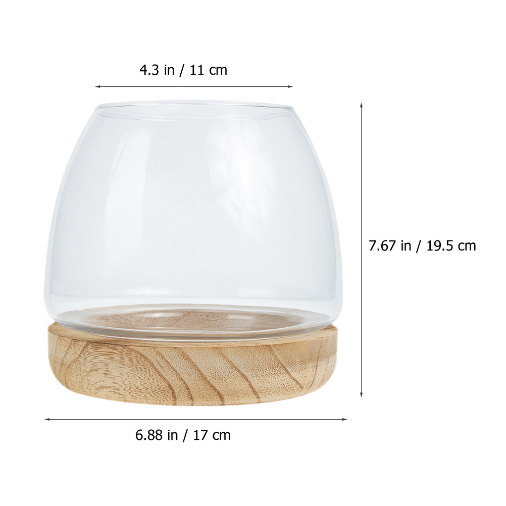 투명 유리 재질의 수경 재배용 식물 테라리움 세트, 나 - Aquarium Plant Original 리뷰 및 가격