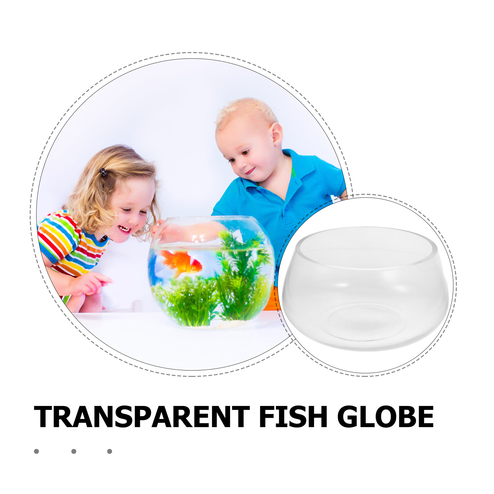 둥근 투명 유리 어항, 미니 수족관, 책상 장식용, 금 - Planted Aquarium For Goldfish 리뷰 및 가격