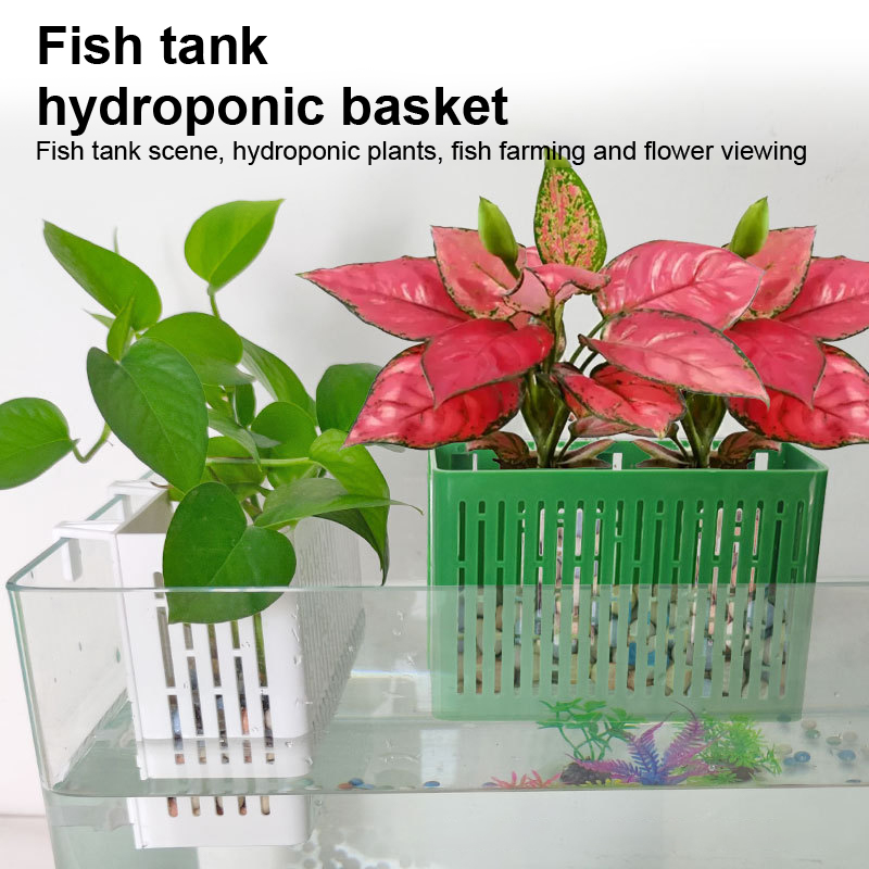 【F】어항용 걸이형 수초 홀더 내열성 수경재배 바구니  - Aquarium Planting Ideas 리뷰 및 가격